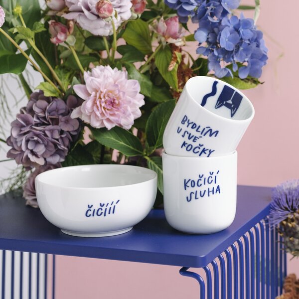 Porcelánový hrnček Bydlím u své kočky 270 ml