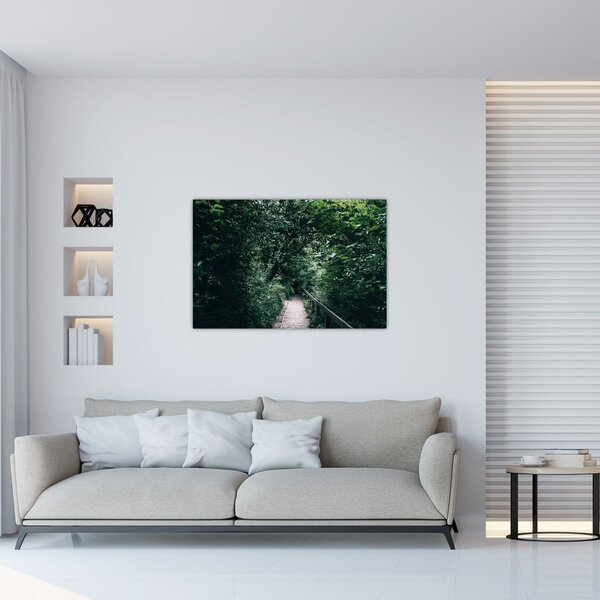 Obraz - Cesta lesom (90x60 cm)