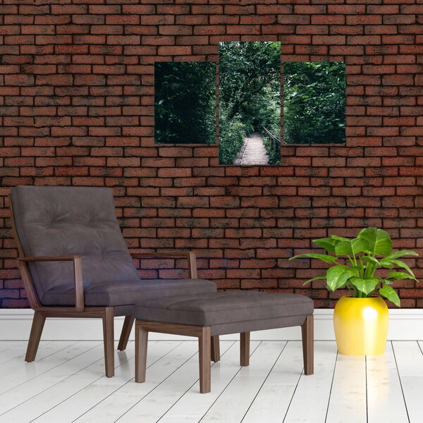 Obraz - Cesta lesom (90x60 cm)