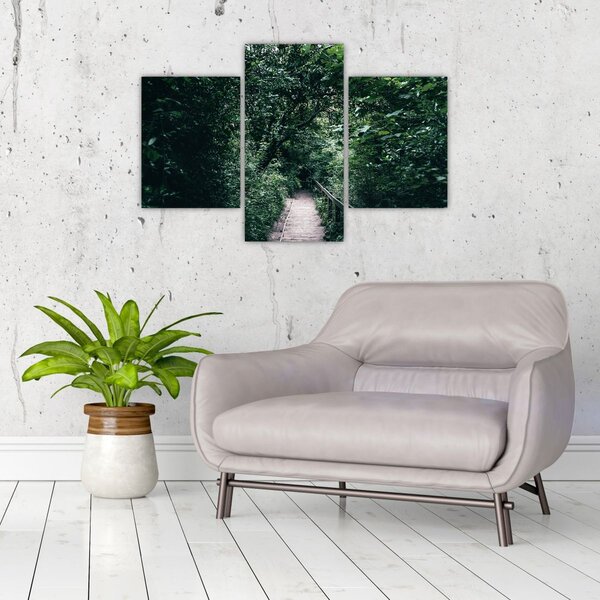 Obraz - Cesta lesom (90x60 cm)