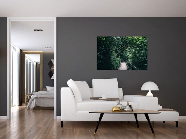 Obraz - Cesta lesom (90x60 cm)