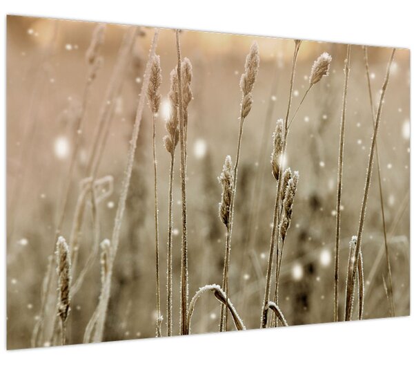 Obraz - Harmonická lúka (90x60 cm)