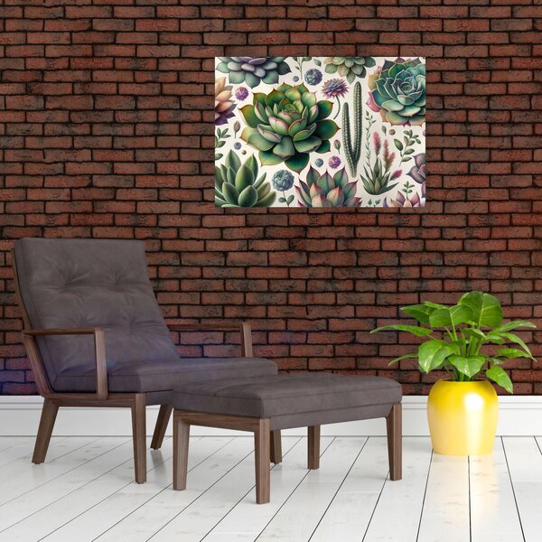 Obraz - Sukulenty (70x50 cm)