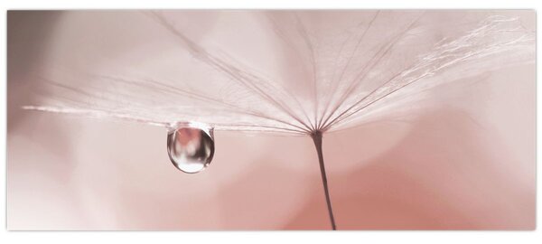 Obraz - Kvapka rosy (120x50 cm)
