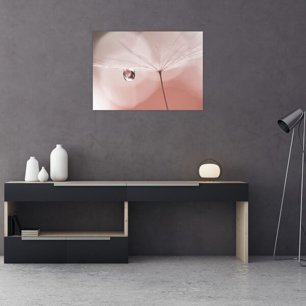 Obraz - Kvapka rosy (70x50 cm)