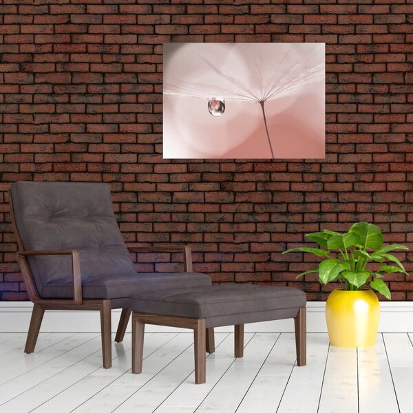 Obraz - Kvapka rosy (70x50 cm)