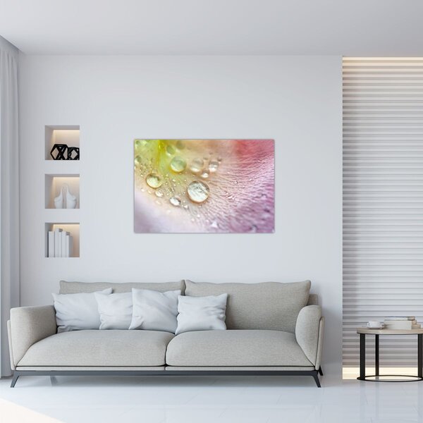 Obraz - Kvapky rosy (90x60 cm)
