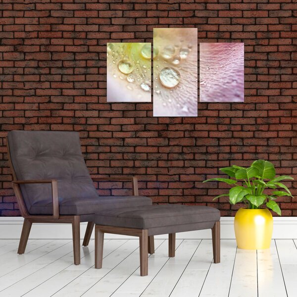Obraz - Kvapky rosy (90x60 cm)