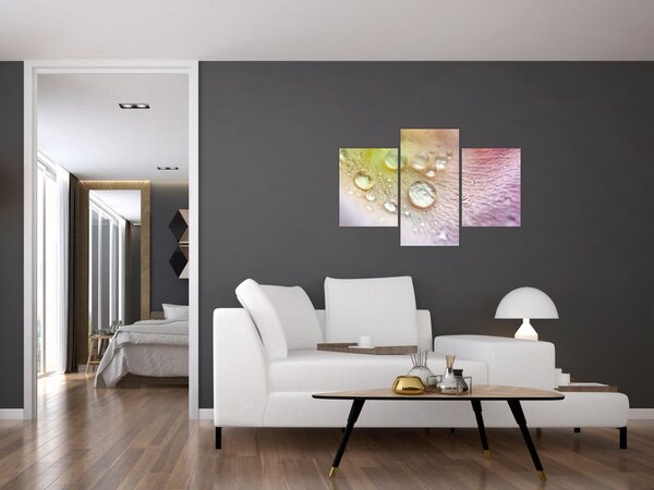 Obraz - Kvapky rosy (90x60 cm)