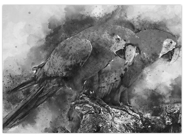Obraz - Akvareloví papagáje (70x50 cm)