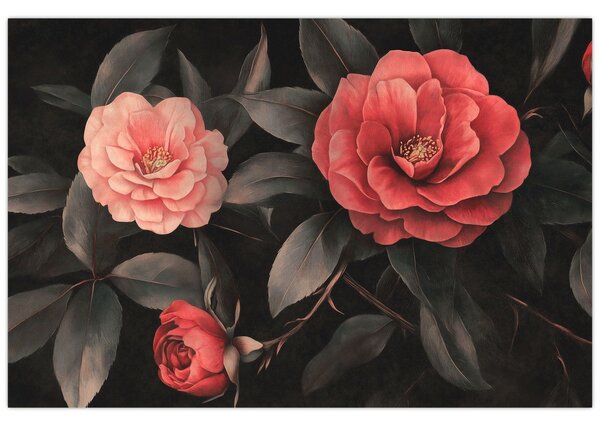 Obraz - Červené kvety na tmavom pozadí (90x60 cm)