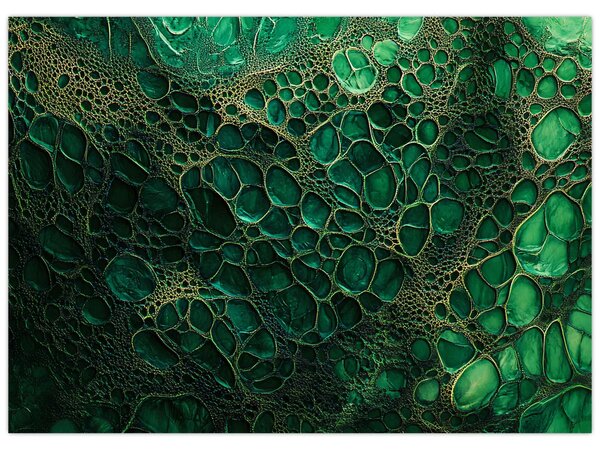 Obraz - Zelený mikroskopický záber (70x50 cm)