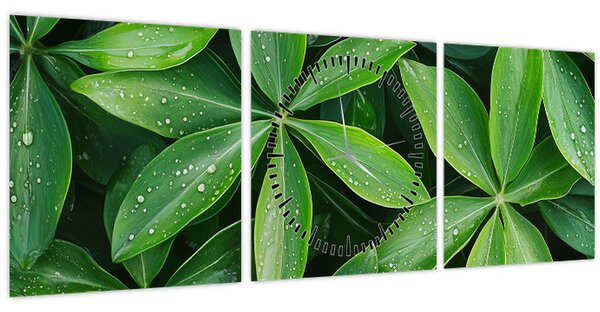 Obraz - Listy s kvapkami rosy (s hodinami) (90x30 cm)