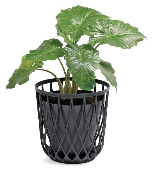 Univerzálny kôš, 20 l, antracit