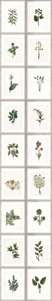 MINDTHEGAP Botany - tapeta