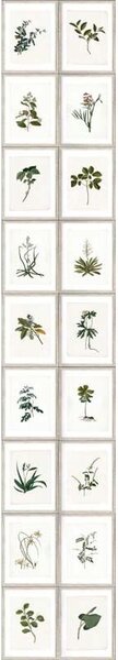 MINDTHEGAP Botany - tapeta