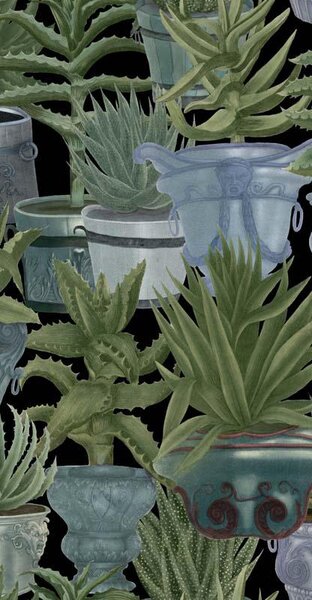 MINDTHEGAP Echeveria - tapeta