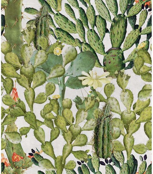 MINDTHEGAP Opuntia - tapeta