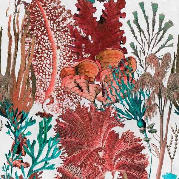MINDTHEGAP Coral Reef - tapeta