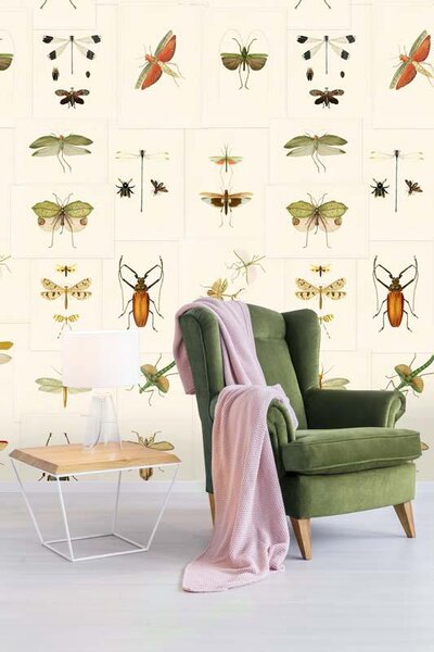 MINDTHEGAP Entomology - tapeta