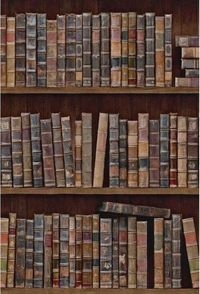 MINDTHEGAP Book Shelves - tapeta