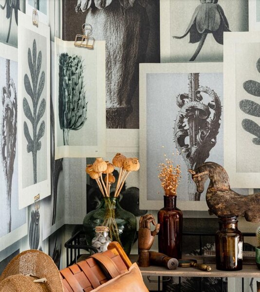 MINDTHEGAP Blossfeldt´s art forms - tapeta