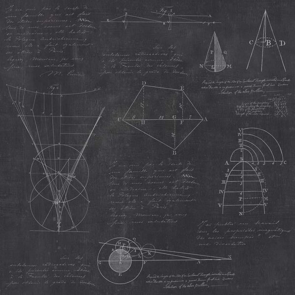 MINDTHEGAP Newton Geometry - tapeta