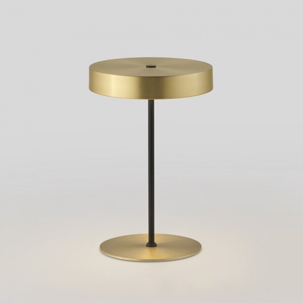 AROMAS DEL CAMPO Ambor S1283/ORO