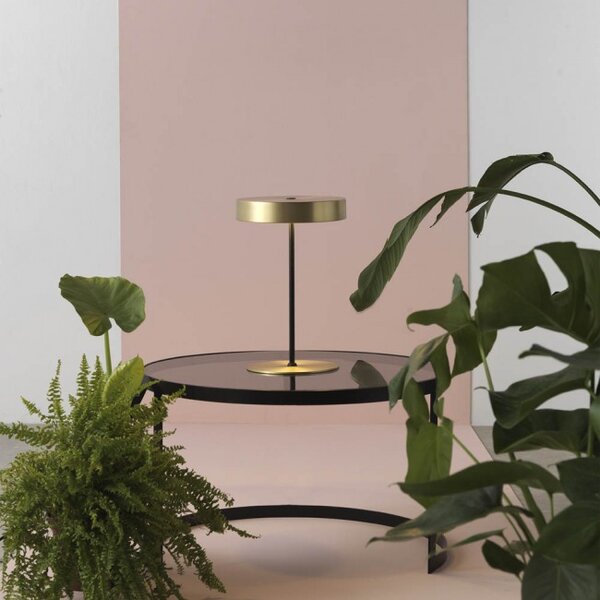 AROMAS DEL CAMPO Ambor S1283/ORO