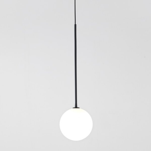 AROMAS DEL CAMPO Ball C1215/NEG