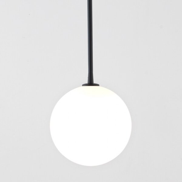 AROMAS DEL CAMPO Ball C1215/NEG