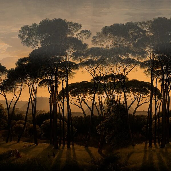 VLADILA Umbrella Pines Dusk - tapeta