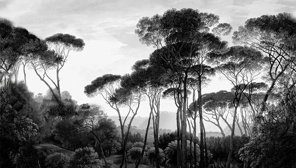 VLADILA Taormina Pines - tapeta