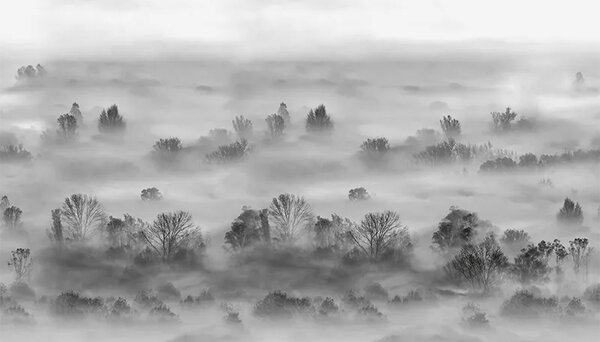 VLADILA Foggy Landscape Grey - tapeta
