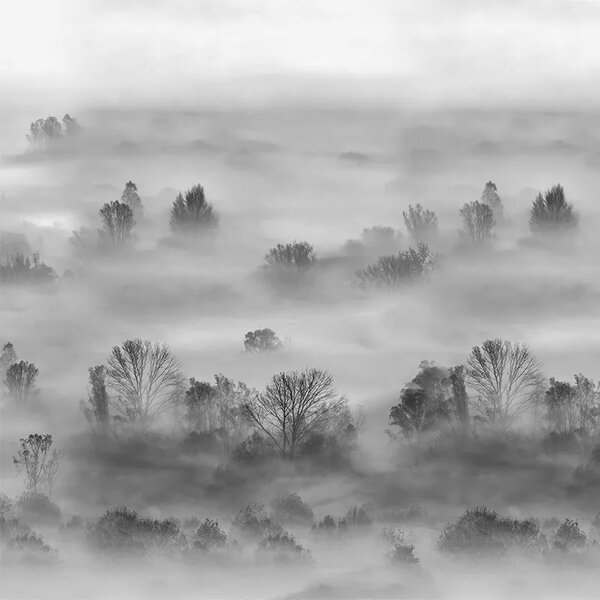 VLADILA Foggy Landscape Grey - tapeta