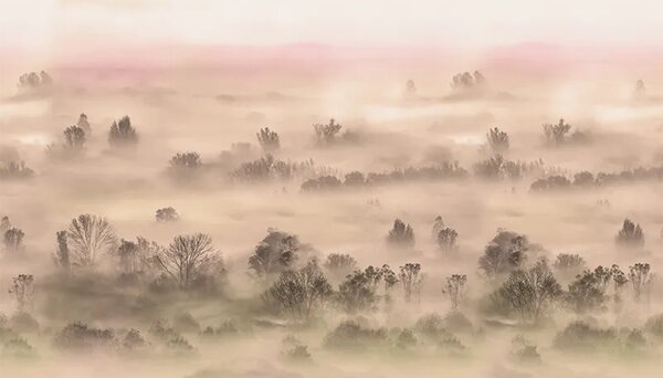 VLADILA Foggy Landscape Peach - tapeta