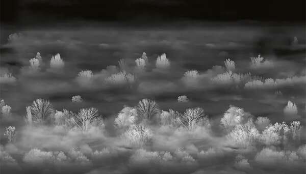 VLADILA Foggy Landscape Nightview - tapeta