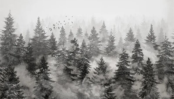 VLADILA Rivian Forest Charcoal - tapeta