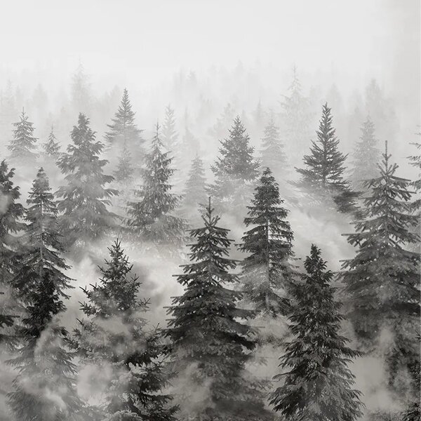 VLADILA Rivian Forest Charcoal - tapeta