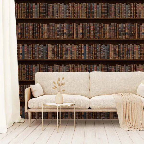 VLADILA Library Style - tapeta