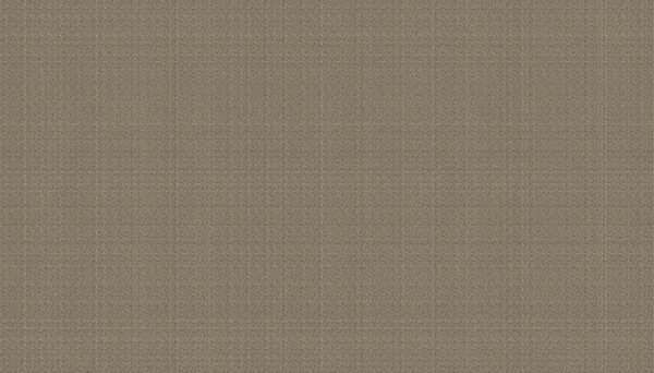VLADILA Twill Brown - tapeta