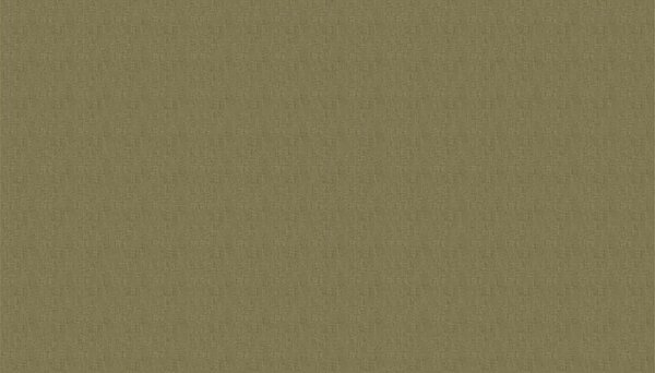 VLADILA Fossil Muslin - tapeta