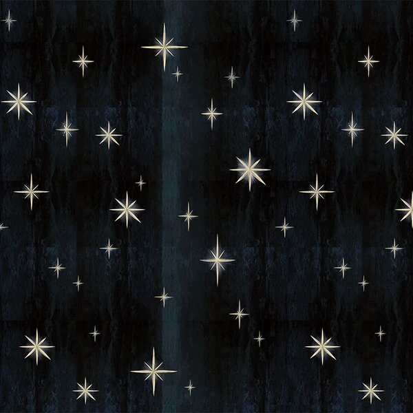 VLADILA Stars Black - tapeta