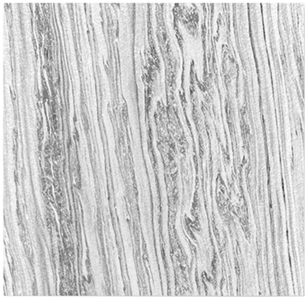 AKUSTICKÝ PANEL velikost: 52/52/0.7 cm Jangal - Online Only bytové doplnky, Online Only