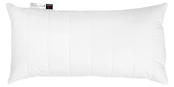 VANKÚŠ POD HLAVU, 40/80 cm Centa-Star - Prikrývky & vankúše, Online Only