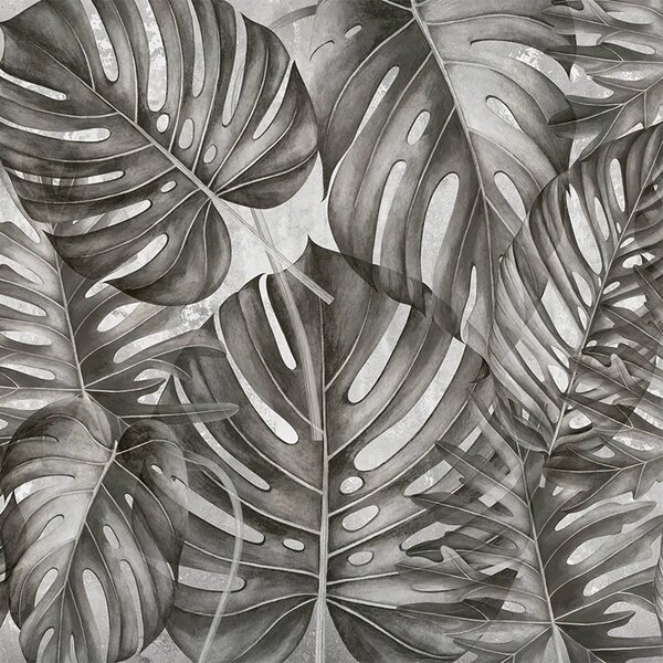 VLADILA Grey Philodendron - tapeta