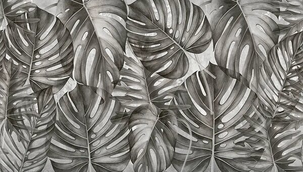 VLADILA Grey Philodendron - tapeta