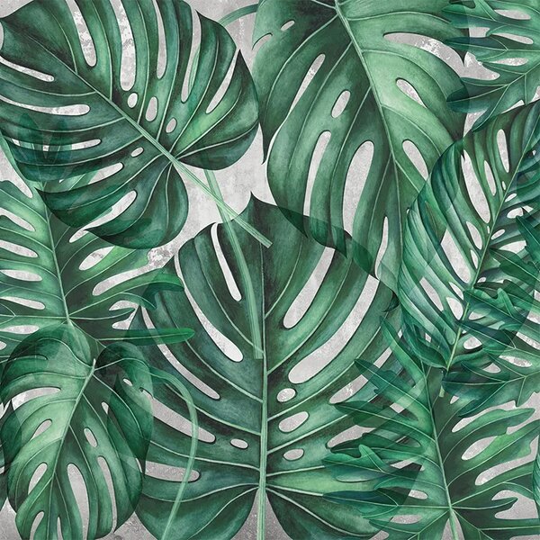 VLADILA Green Philodendron - tapeta