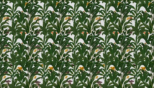 VLADILA White Tropical Story - tapeta