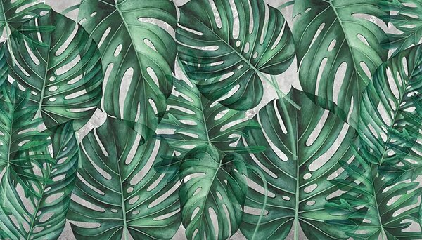 VLADILA Green Philodendron - tapeta